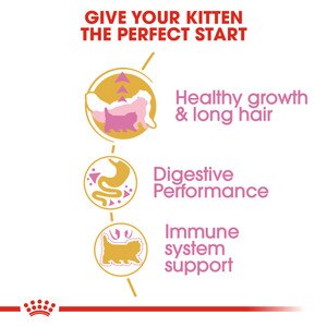 ROYAL CANIN® Persian Kitten 4kg